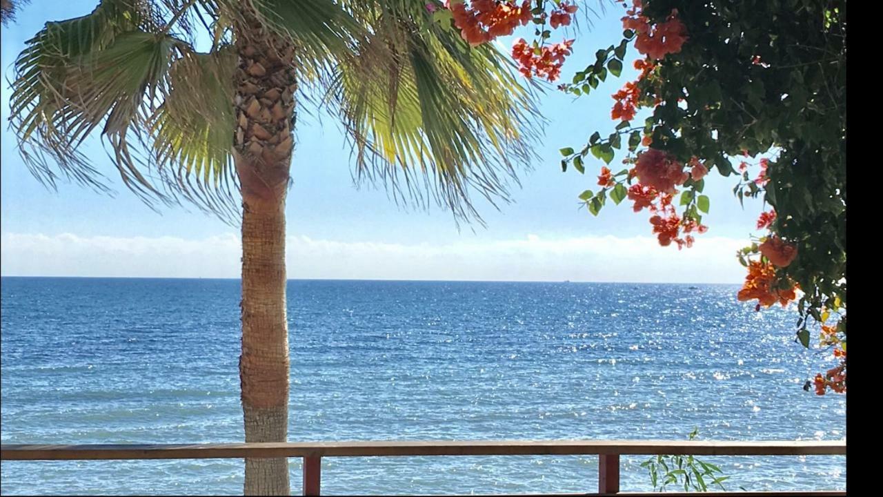 Mi Capricho Beachfront- 9D Apartment With Sea Views - Costa Del Sol La Cala De Mijas Exterior foto